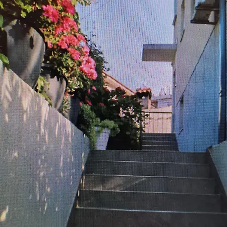 Apartment Blue Blue